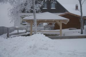 01.02.2015 Pavillon im Winterschlaf © by Knappenverein Peissenberg